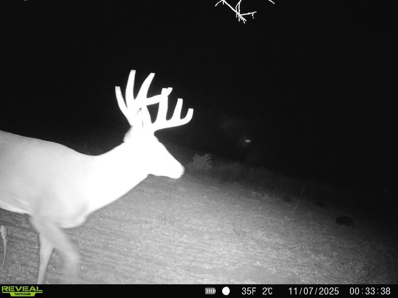 Copy of 868032069649766-100-3-11072025130752-HD-SYFW7146