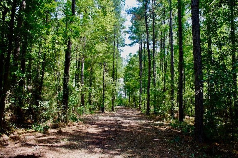 C2F966C7-CB3E-474E-8101-4E5D942A1191_1_105_c