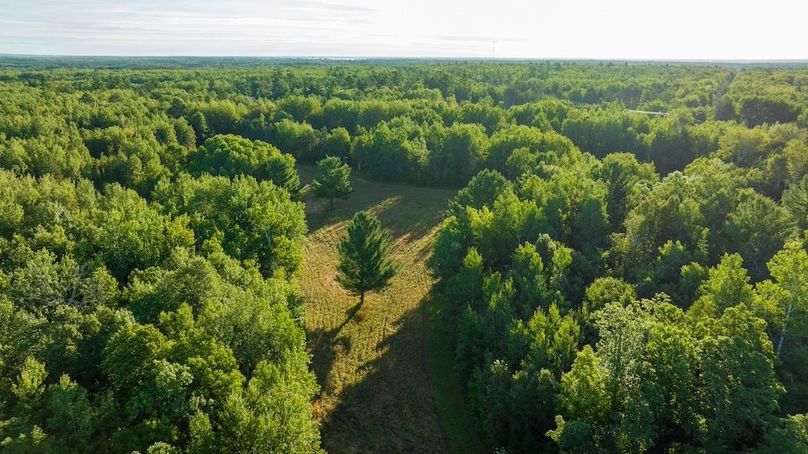 Cass MN 1095 Featured ProPhoto-83