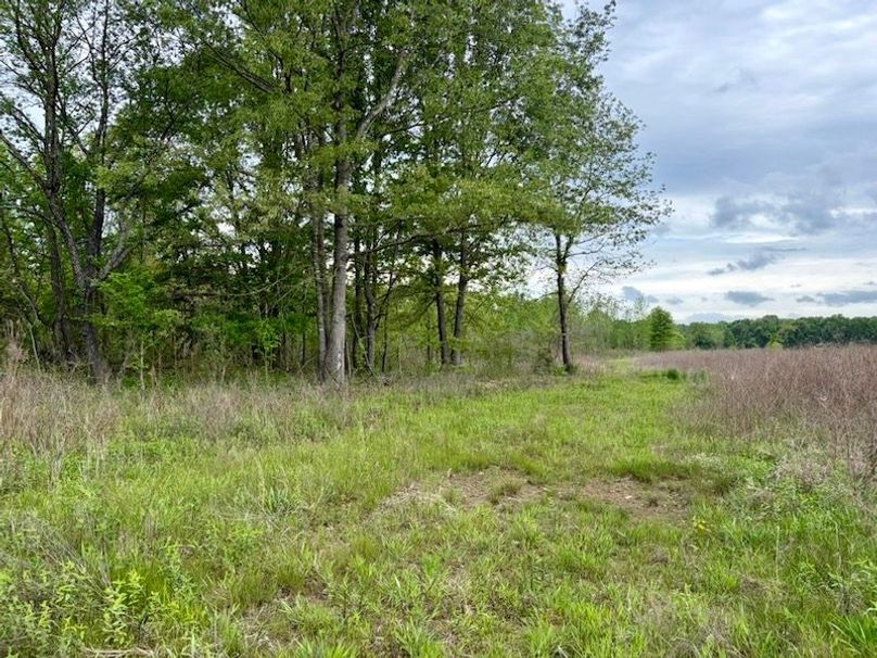 DA2EF72D-4E1D-4BF4-A990-971BB6C6789D_1_105_c