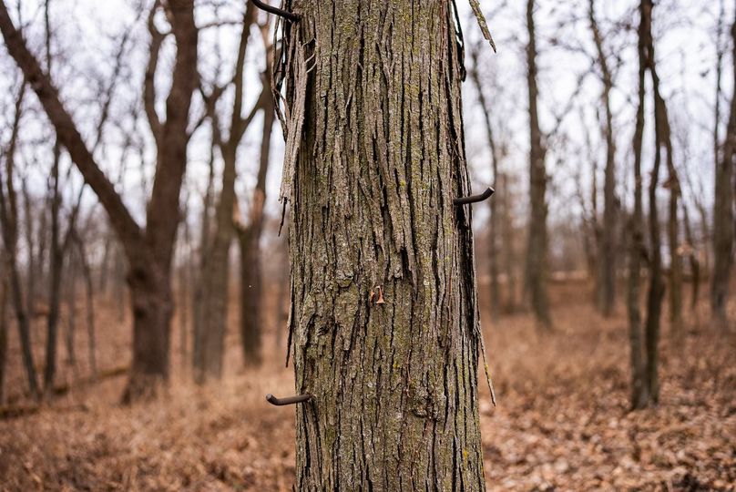 Pike IL 96.87 Adv Pro Photo-54