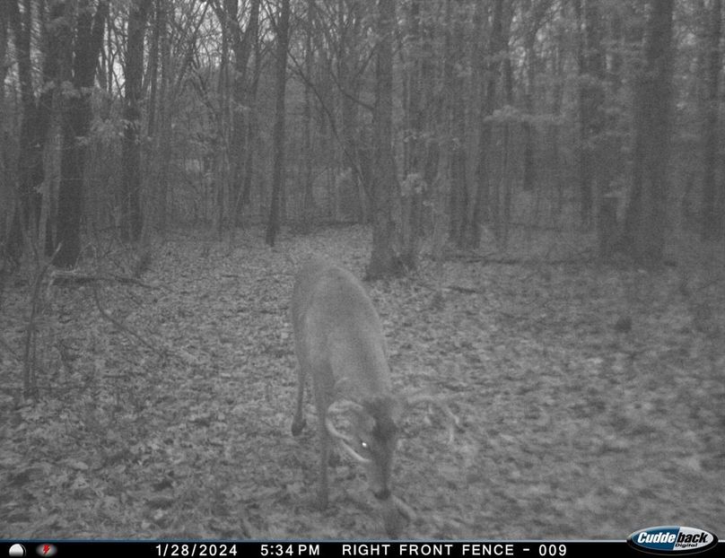 10pt on trail farm A