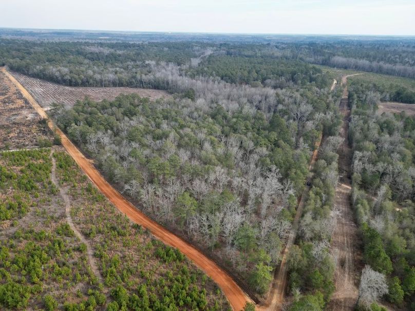 dji_fly_20260203_141624_653_1770146760108_photo