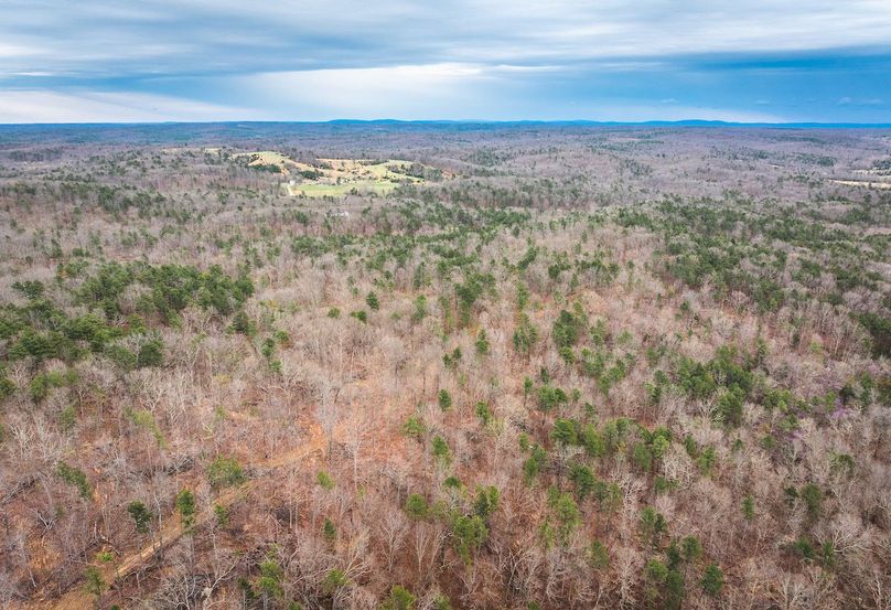 DJI_20250403135201_0603_D