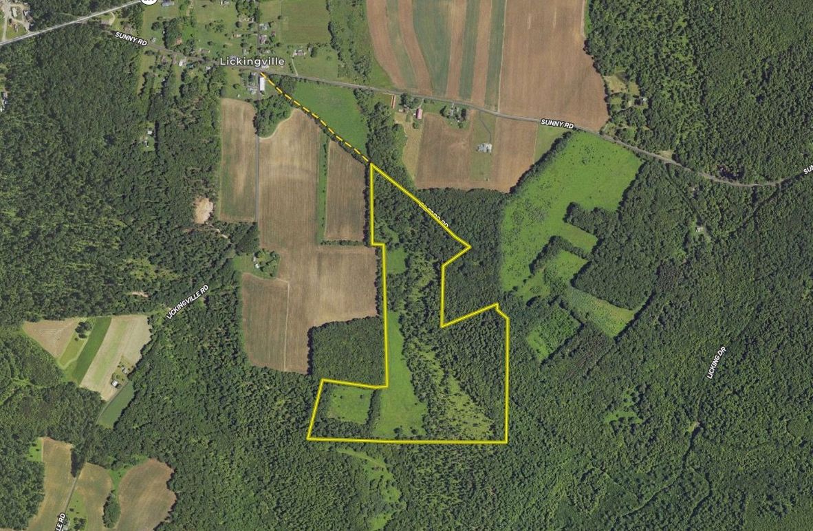 Screen Shot 2023-08-06 at 10.53.49 AM