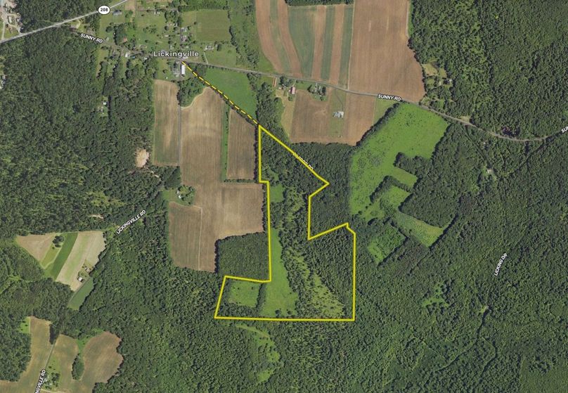 Screen Shot 2023-08-06 at 10.53.49 AM