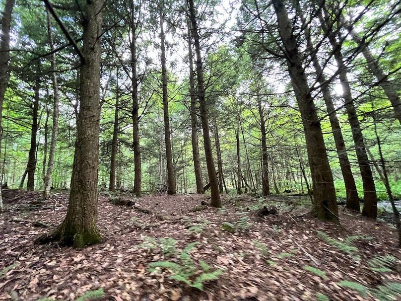 Oswego_133.72_Middleton_Photos_39