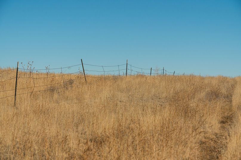 El Paso Co 40 Malinowski - LOT 4 - 08 North Fenceline