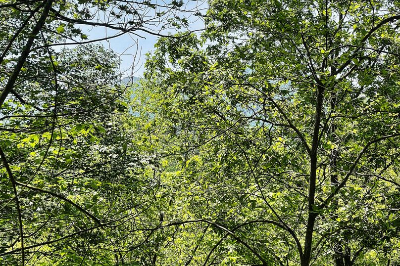 20 Mountain Views 02