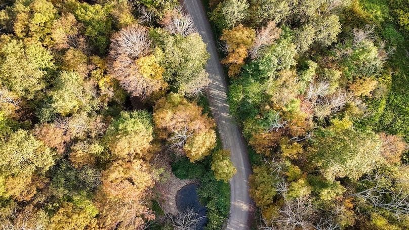 Tioga_30_Flanner Photo 10