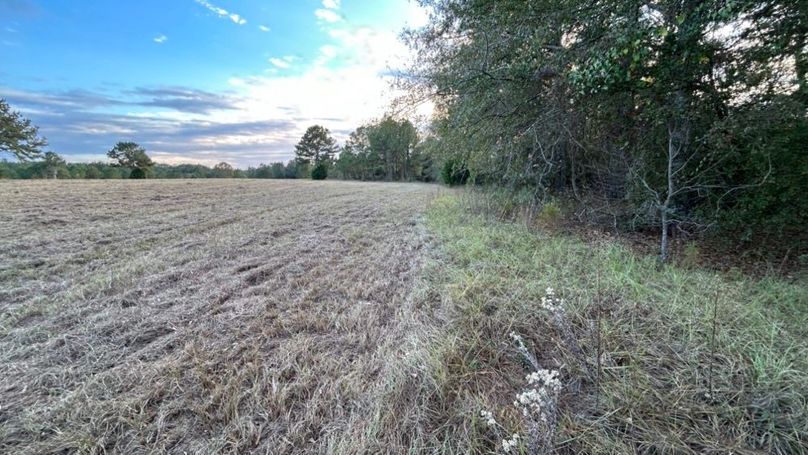 Pic 49