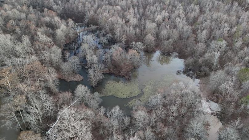 311 new20260217_0459