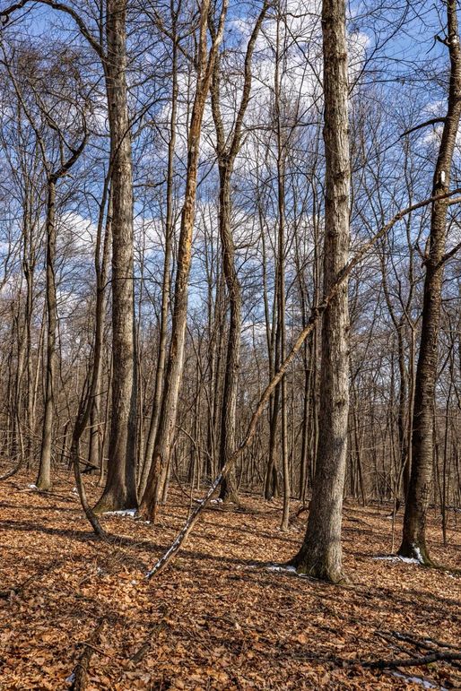 27-web-or-mls-IMG-27