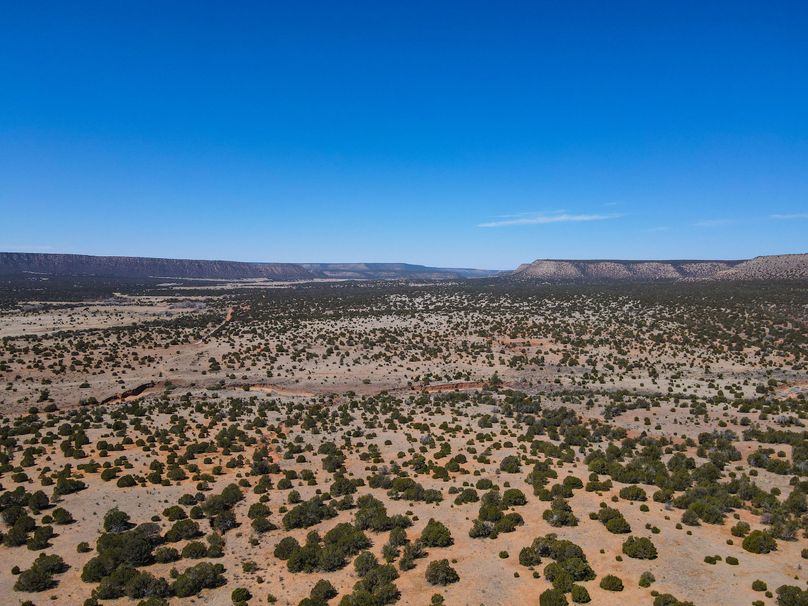dji_fly_20230407_113220_659_1680888981436_photo