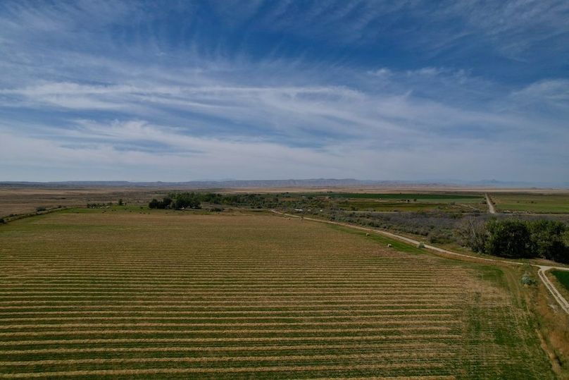 DJI_0449