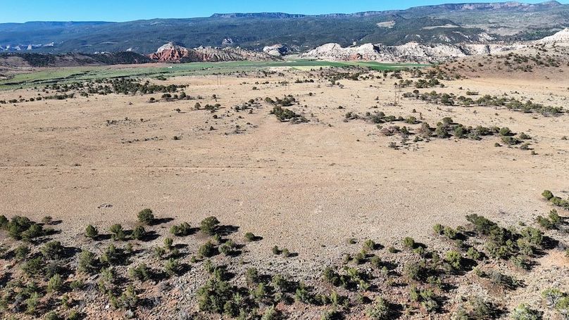 DJI_20250620084427_0197_D