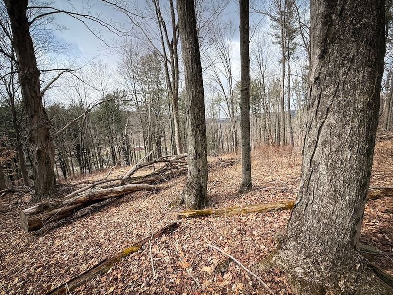 Chemung_32.07-Bower_photos_45