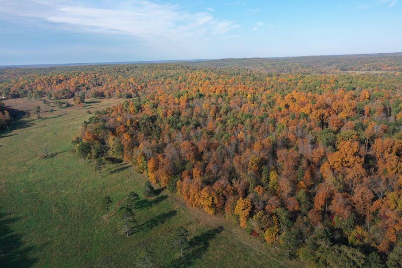 DJI_0695