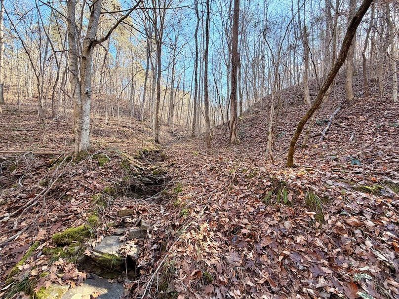 Roane Co TN 396 20251127_19