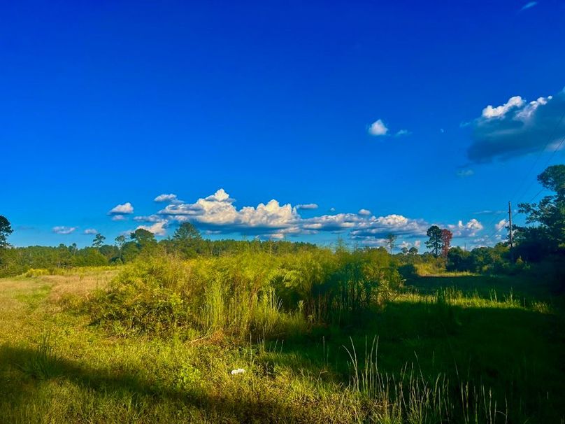 D497F5B1-D1E3-4D3C-8F40-7769A3E04E46_1_201_a