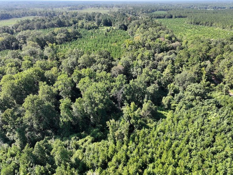 dji_fly_20250903_101704_0400_1757089041620_photo