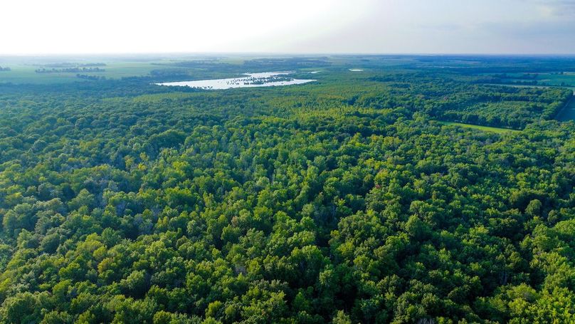 DJI_20240819182956_0142_D