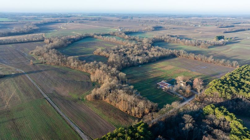 DJI_20260309080004_0012_D