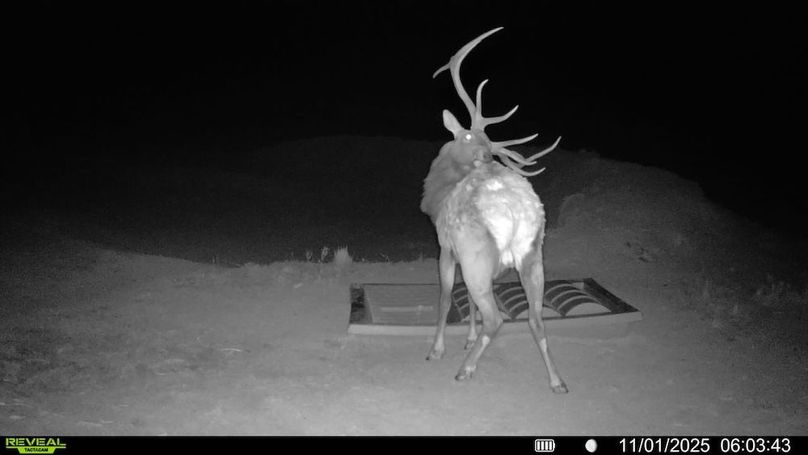 016578004267347-95-3-11012025060343-V-SYFW00170