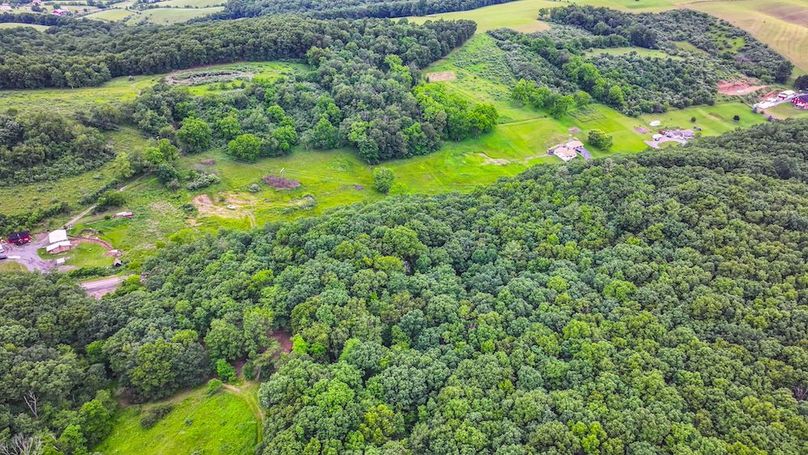 Bedford,121,Beegle-46