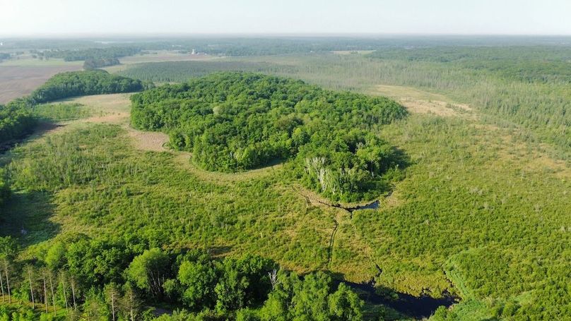dji_fly_20250604_080728_347_1749042490738_photo_optimized