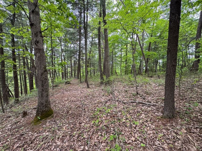 Pleasants, WV 168.59 AC Superior, Swank, Young-100