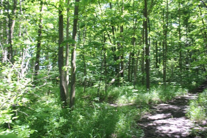 trail 33