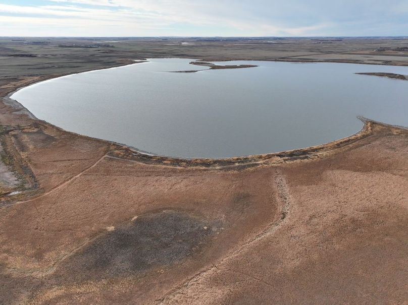 DJI_20241118113249_0331_D