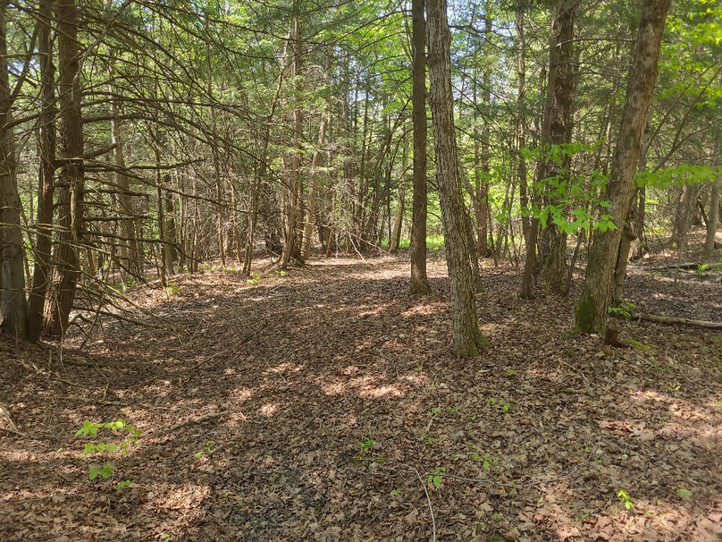 photo_8d9ea343-e5ad-4fca-a19b-6472e36fe1fa