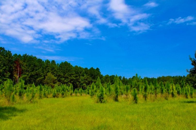 055231BD-F00E-462F-8C1F-EAC33498EBA2_1_105_c