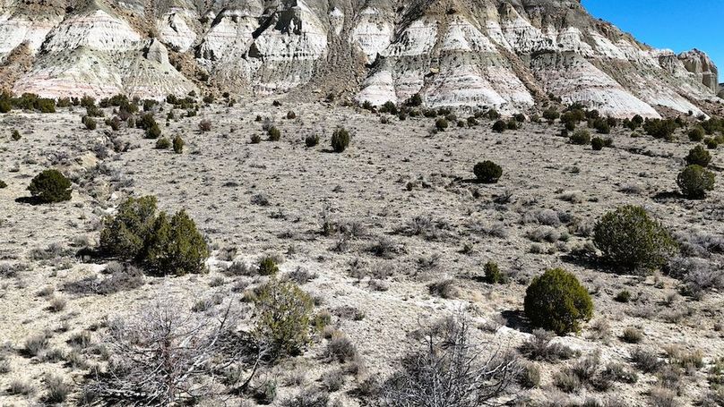 DJI_20240403111841_0156_D