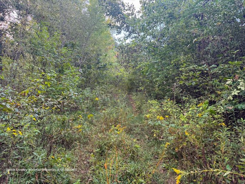 DeSoto 109 Prewett -25