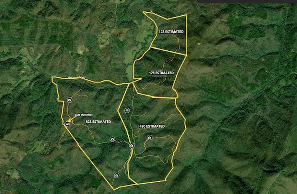 Screenshot 2025-08-19 at 1.16.26 PM