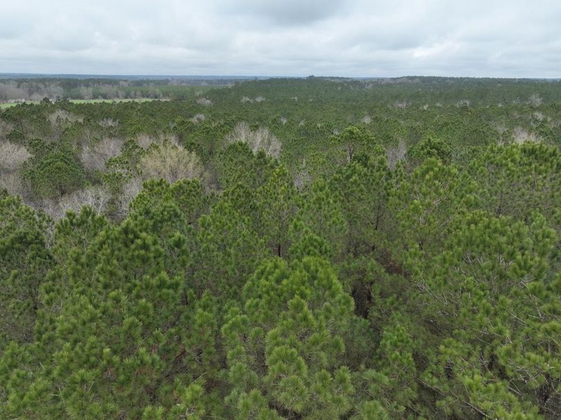 DJI_0933