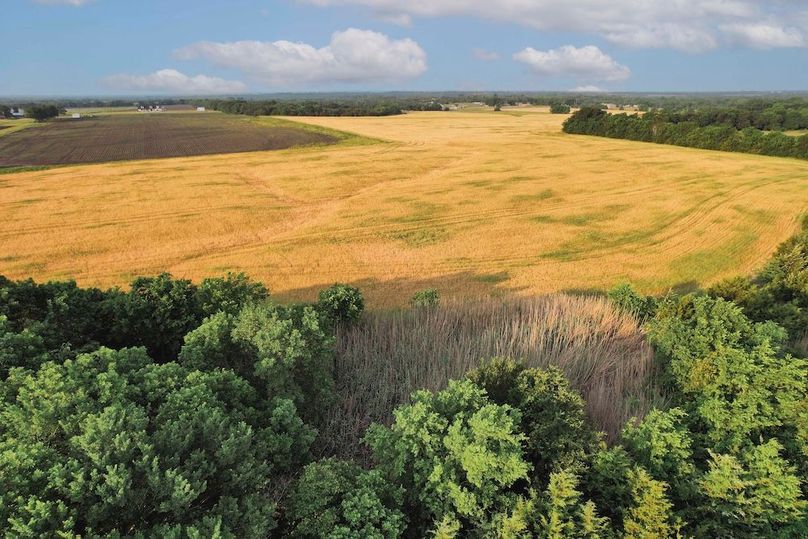 Lamar County- 92.66 Acres (15 of 29)