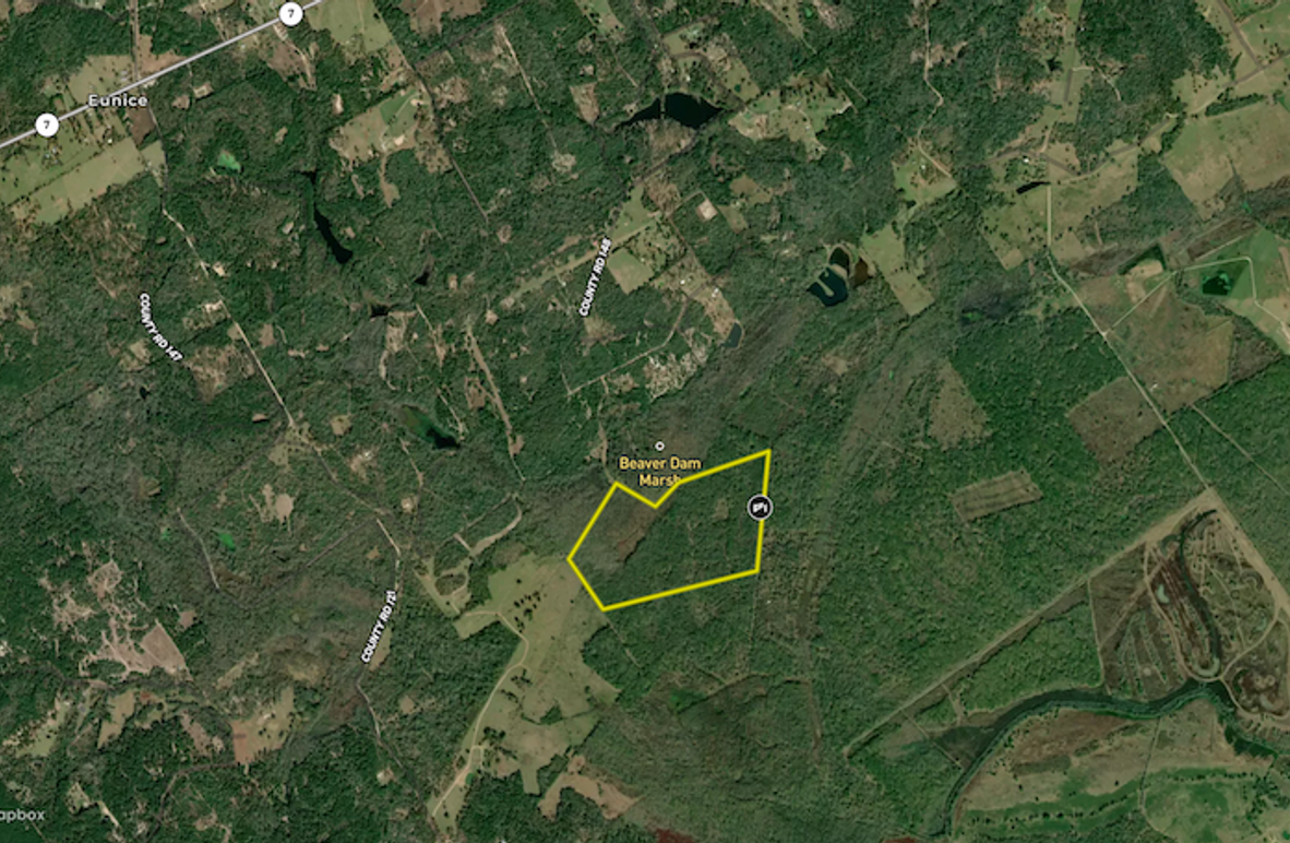 Screenshot 2025-09-09 at 10.19.20 AM