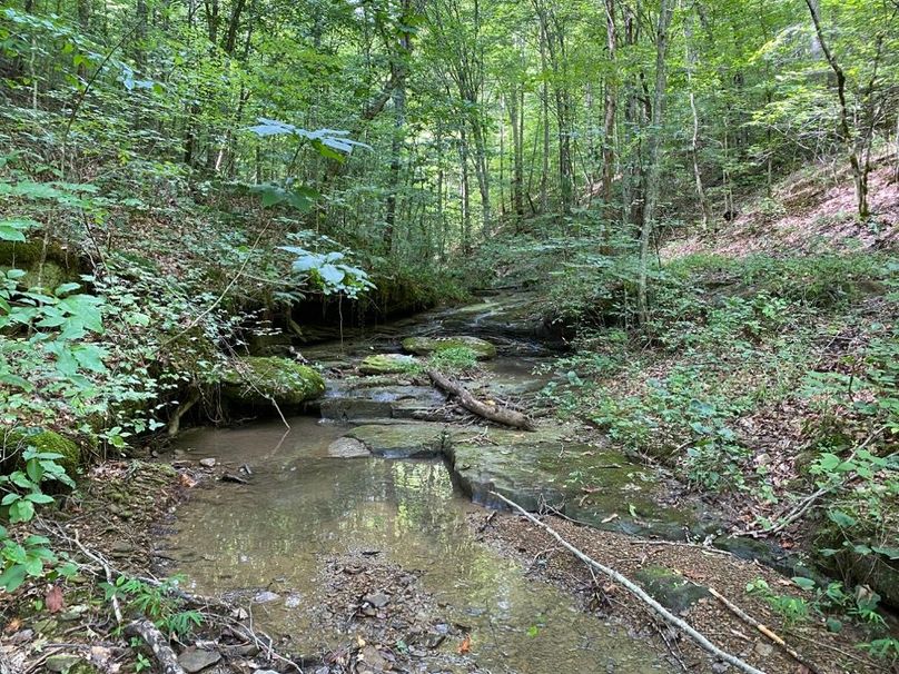 016 the blue line stream flowing through the property