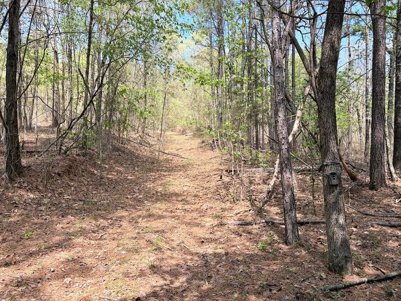 39687EB7-58FE-4FFE-A9B0-87C07EB8B20B_1_201_a