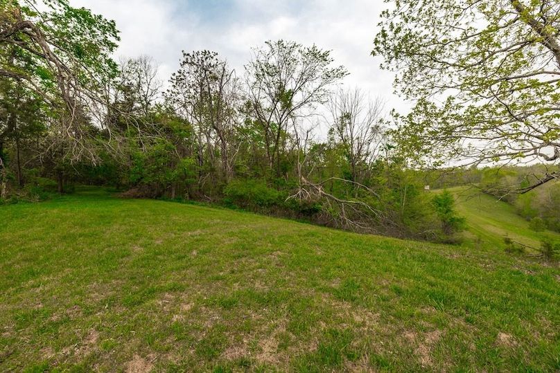 64-web-or-mls-1103 Johnny Spears Rd-52