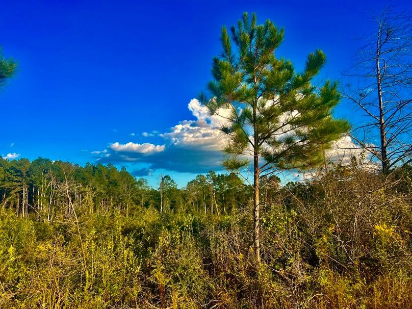 A3795553-B525-498E-905C-693A4DB8FEC2_1_201_a