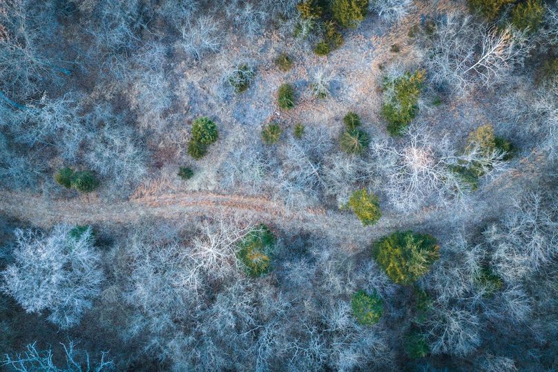 DJI_20260121165303_0511_D