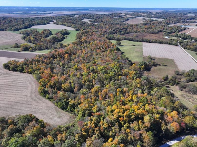 Copy of DJI_20251031130438_0773_D