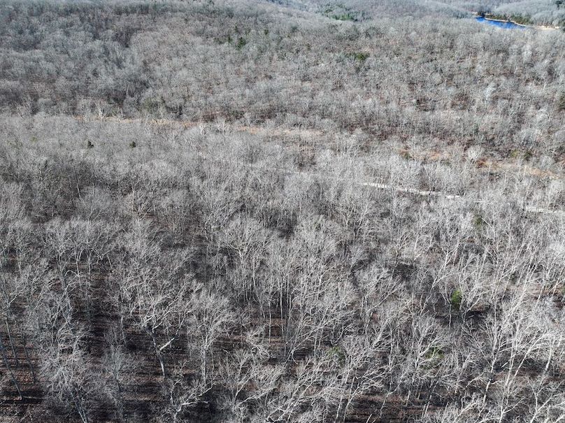 DJI_20251219114009_0893_D