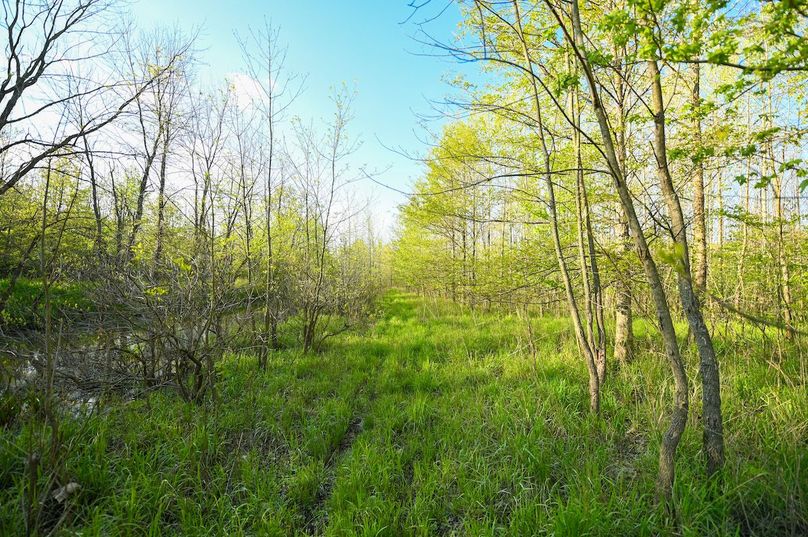 vandalia 450 (2)-3005