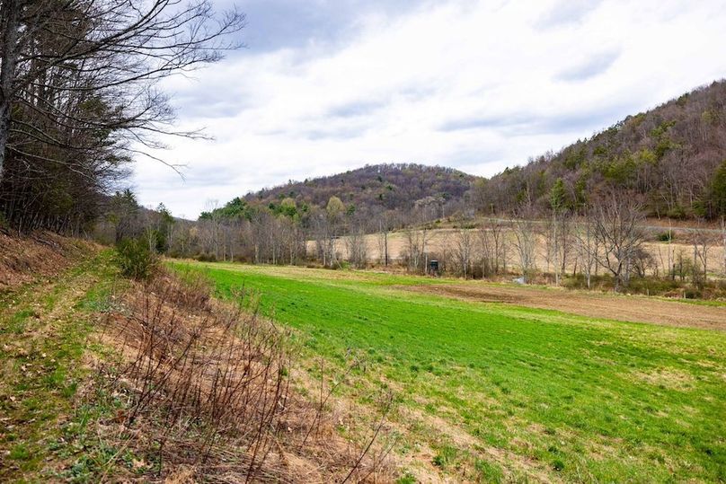 46-web-or-mls-IMG-46